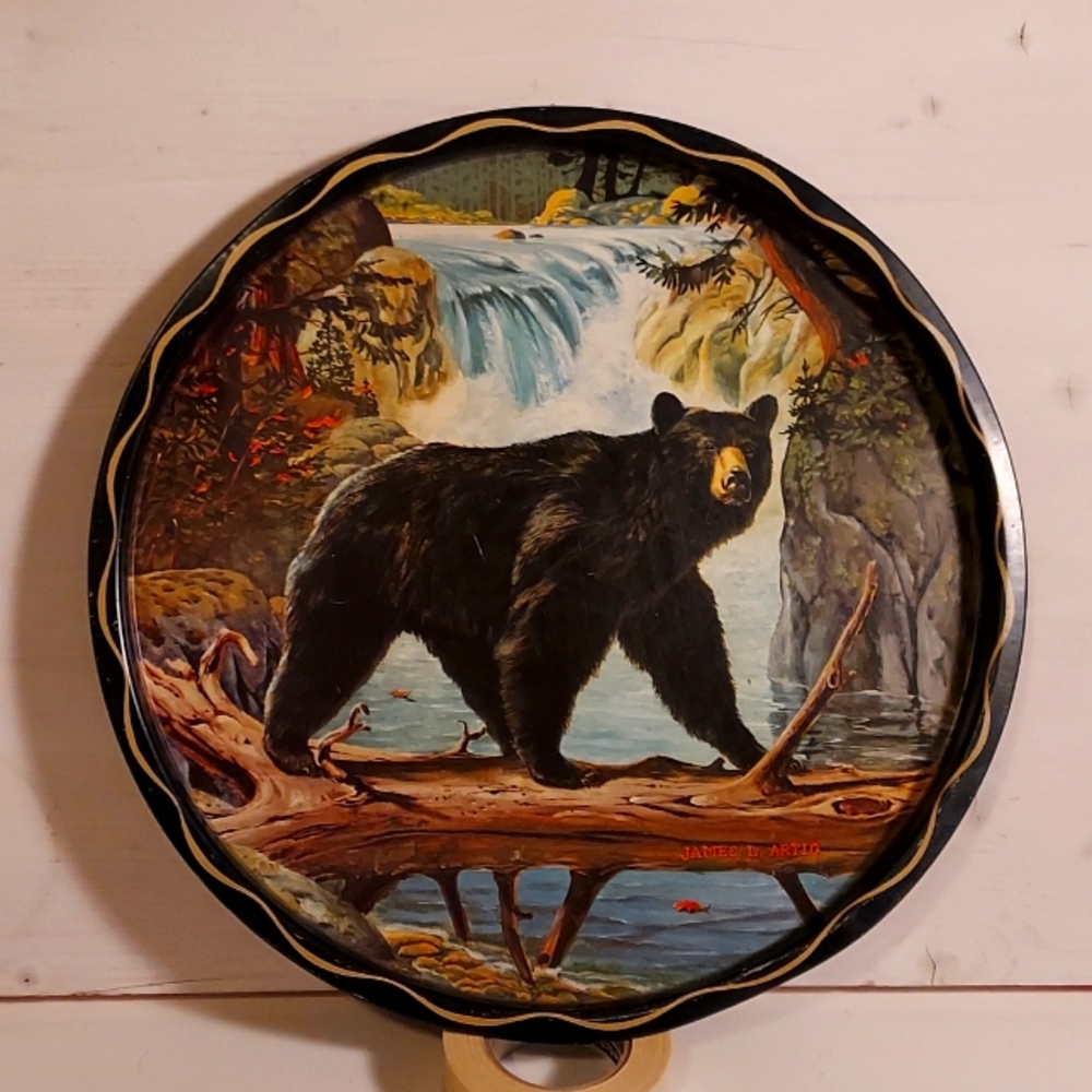 Collector's Antique Tin Plate by James L. Artig